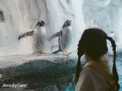 -南昌海洋公园