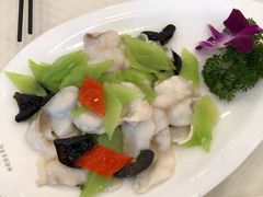 滑炒玉兰片-怡园饭店-餐厅(四望亭店)