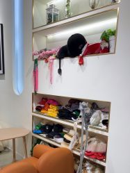 -雅安米优果儿童摄影