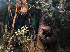 -陕西自然博物馆