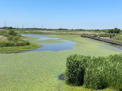 -宁波杭州湾国家湿地公园