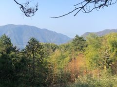 -杭州半山国家森林公园