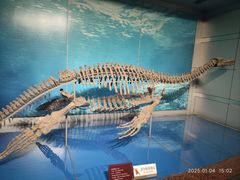 -自贡恐龙博物馆