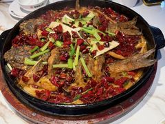 -老板恋上鱼(高新万达店)