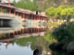 -重庆彩云湖湿地公园