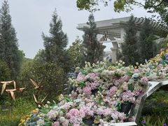 -上海鲜花港