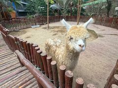 -呀路古热带植物园