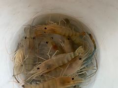 -小象钓虾·营地烧烤(洛溪店)