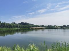 -东郊湿地公园