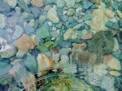 -虹口漂流
