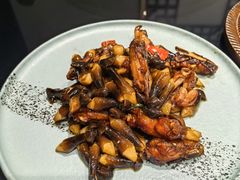 鸡枞菌爆鸡翅-香雪海饭店中餐厅(人民桥店)