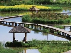 -溱湖国家湿地公园