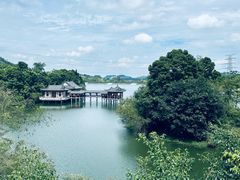 -水濂山森林公园