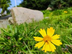 -养马岛旅游度假区