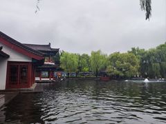 -百脉泉景区