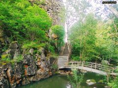 -茅兰沟国家森林公园