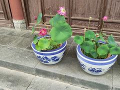 -万寿八仙宫