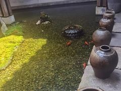 -几荷·恰似故人来(秀水广场店)