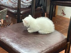 -吴记口味馆