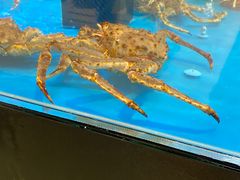 -盒马鲜生(宝地店)