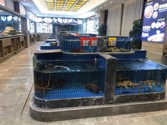 水产区-骏莱海鲜鱼港(五角场店)