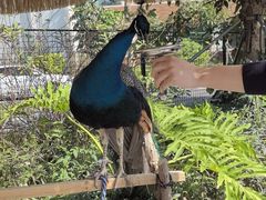 -珠海海泉湾神秘岛亲子乐园