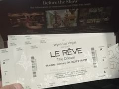 -拉斯维加斯永利酒店