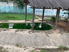 -无锡动物园·太湖欢乐园