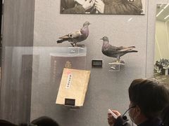 -上海公安博物馆