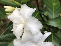 -碓臼峪自然风景区