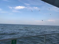 -鼎香缘海鲜自助火锅烤肉(锦辉购物广场店)