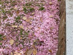 -苏州河梦清园环保主题公园