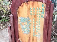 -武清南湖绿博园