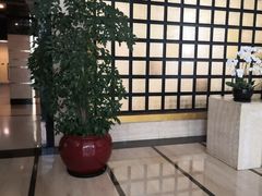 -飞洲国际广场