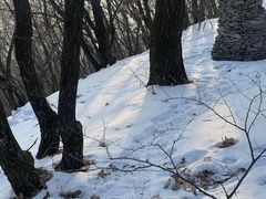 -帽儿山国家森林公园