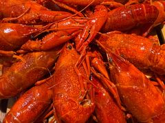 -侠舍·江湖烤全羊·大排档(沌口总店)
