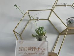 -凡碧诗毛孔收细