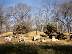 -北京野生动物园