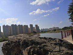 -龙江公园