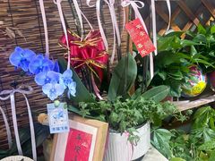 -何兮花店·气球派对鲜花店(马桥银春路万科城店)