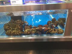 -盒马X会员店(王府井奥莱UP TOWN店)