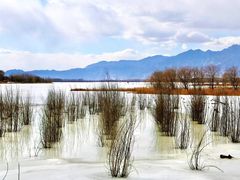 -野鸭湖国家湿地公园