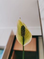 -倩极·精研痘敏肌管理