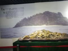 -东南花都花博园