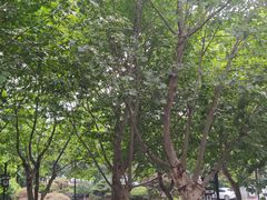 -大叔家福鼎小吃(十全街店)