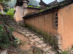 -杨家堂村