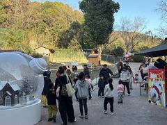 -杭州开元森泊度假乐园