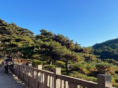 -黄山风景区