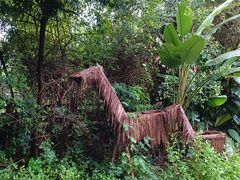 -华侨城湿地公园