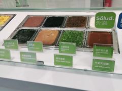 -Salud撒露欧洲冻酸奶(五道口购物中心店)